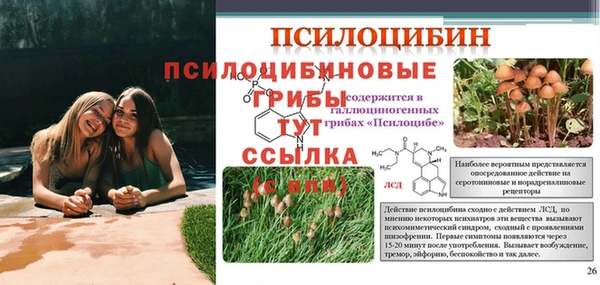 гидропоника Каменногорск