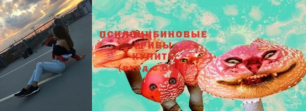 гидропоника Каменногорск
