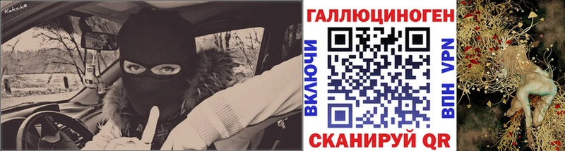Купить  Гаджиево  Псилоцибиновые грибы Psilocybine cubensis 