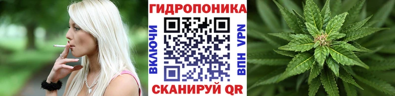Купить закладки  Гаджиево  Конопля White Widow 